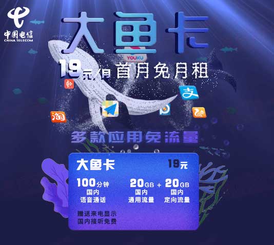 中国电信大鱼卡19元月40g流量100分钟通话阿里系免流首月免费用免费